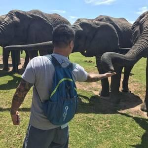 Meet your Posher, Dinh